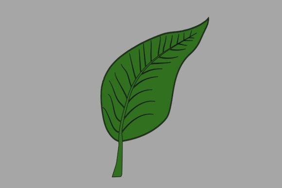 Green Leaf Svg Vector Clipart