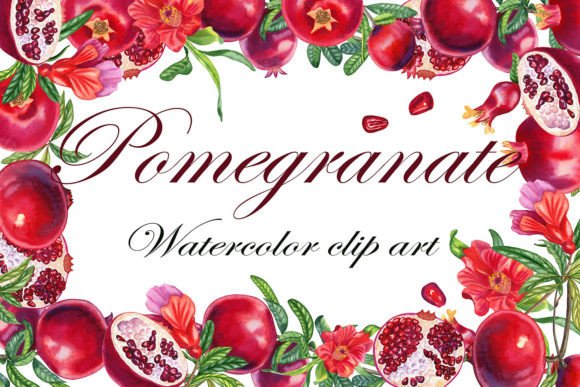 Pomegranates Watercolor Clip Art