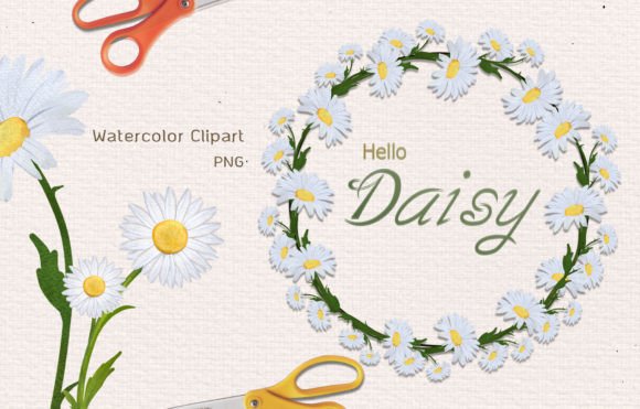 Watercolor Daisy Flora Clipart Graphic