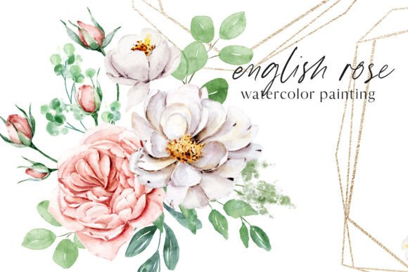 Watercolor Flower Set English Rose